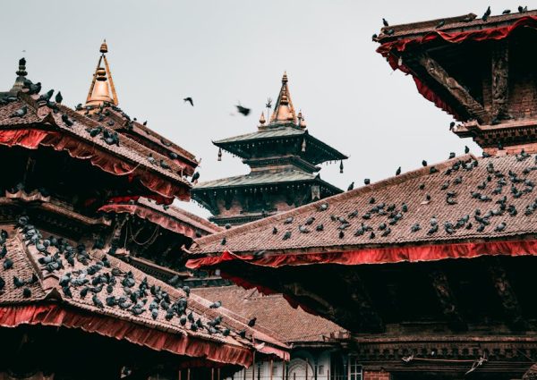 pexels-photo-2104882-2104882 Pigeons on traditional pagoda rooftops in cultural Kathmandu, Nepal.
